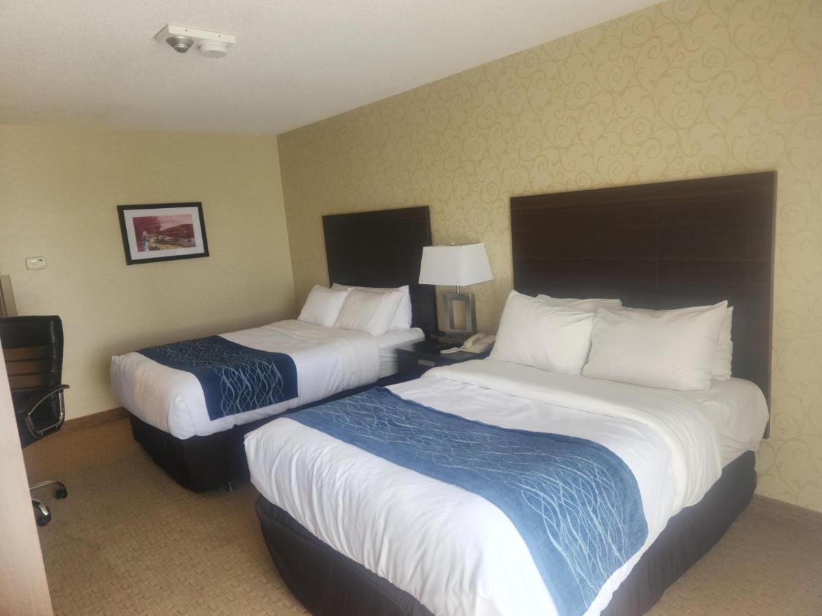 Comfort Inn Trois-Rivières Dış mekan fotoğraf